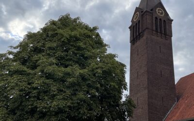 MEDEDELINGEN & MISINTENTIES VAN 21 SEPTEMBER 2025