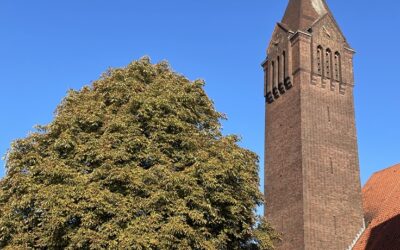 MEDEDELINGEN & MISINTENTIES VAN 5 OKTOBER 2025