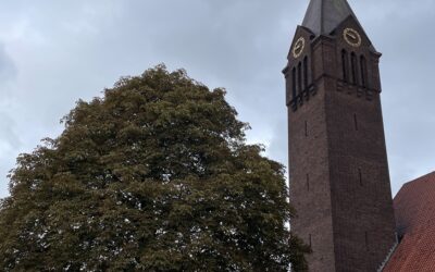 MEDEDELINGEN & MISINTENTIES VAN 12 OKTOBER 2025