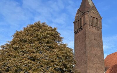 MEDEDELINGEN & MISINTENTIES VAN 19 OKTOBER 2025