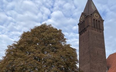 MEDEDELINGEN & MISINTENTIES VAN 26 OKTOBER 2025